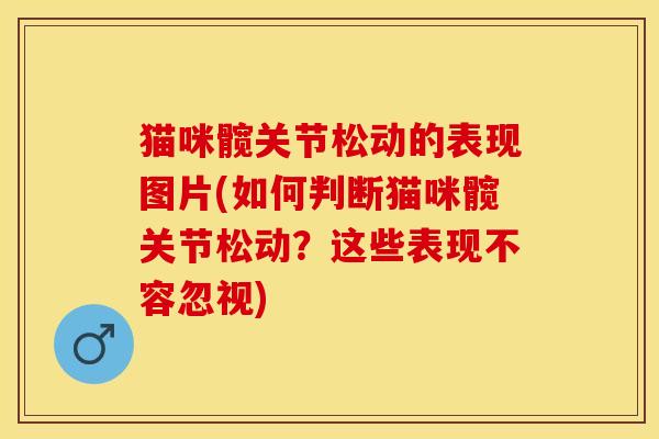 猫咪髋关节松动的表现图片(如何判断猫咪髋关节松动？这些表现不容忽视)-第1张图片-关节保镖