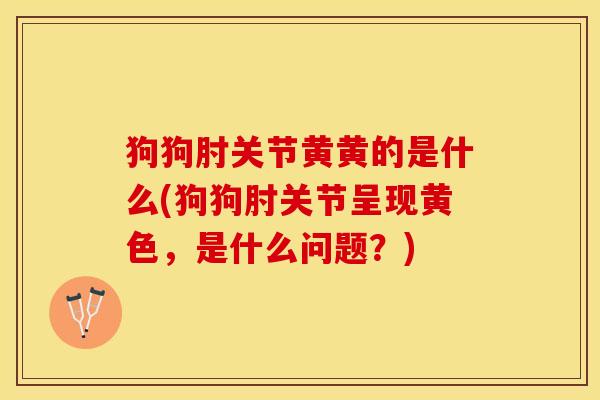 狗狗肘关节黄黄的是什么(狗狗肘关节呈现黄色，是什么问题？)-第1张图片-关节保镖