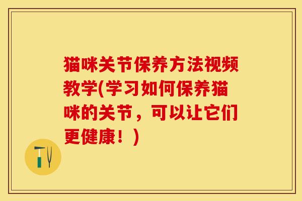 猫咪关节保养方法视频教学(学习如何保养猫咪的关节，可以让它们更健康！)-第1张图片-关节保镖