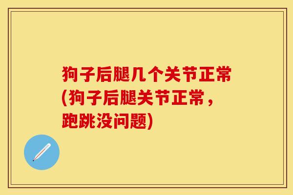 狗子后腿几个关节正常(狗子后腿关节正常，跑跳没问题)-第1张图片-关节保镖