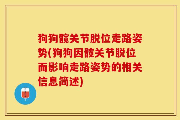 狗狗髋关节脱位走路姿势(狗狗因髋关节脱位而影响走路姿势的相关信息简述)-第1张图片-关节保镖