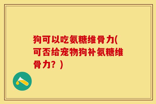 狗可以吃氨糖维骨力(可否给宠物狗补氨糖维骨力？)-第1张图片-关节保镖