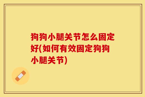 狗狗小腿关节怎么固定好(如何有效固定狗狗小腿关节)-第1张图片-关节保镖