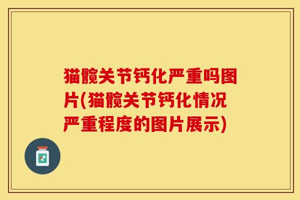 猫髋关节钙化严重吗图片(猫髋关节钙化情况严重程度的图片展示)-第1张图片-关节保镖