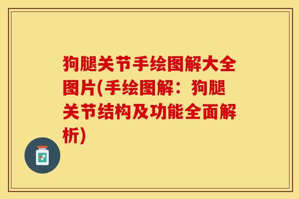 狗腿关节手绘图解大全图片(手绘图解：狗腿关节结构及功能全面解析)-第1张图片-关节保镖