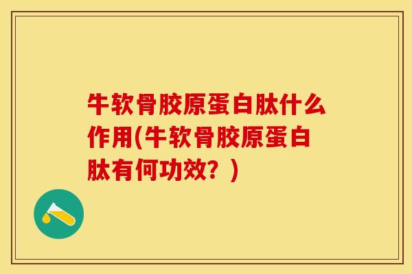 牛软骨胶原蛋白肽什么作用(牛软骨胶原蛋白肽有何功效？)-第1张图片-关节保镖