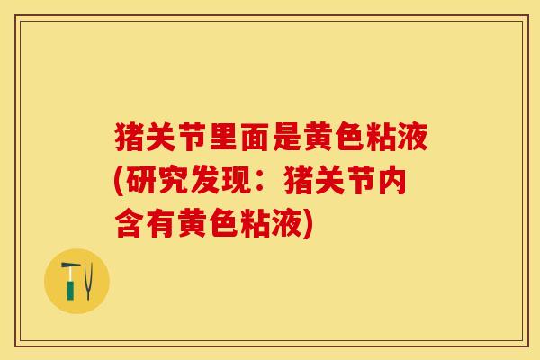 猪关节里面是黄色粘液(研究发现：猪关节内含有黄色粘液)-第1张图片-关节保镖