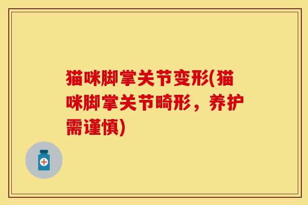 猫咪脚掌关节变形(猫咪脚掌关节畸形，养护需谨慎)-第1张图片-关节保镖