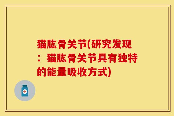 猫肱骨关节(研究发现：猫肱骨关节具有独特的能量吸收方式)-第1张图片-关节保镖