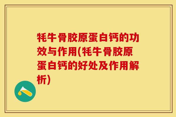 牦牛骨胶原蛋白钙的功效与作用(牦牛骨胶原蛋白钙的好处及作用解析)-第1张图片-关节保镖
