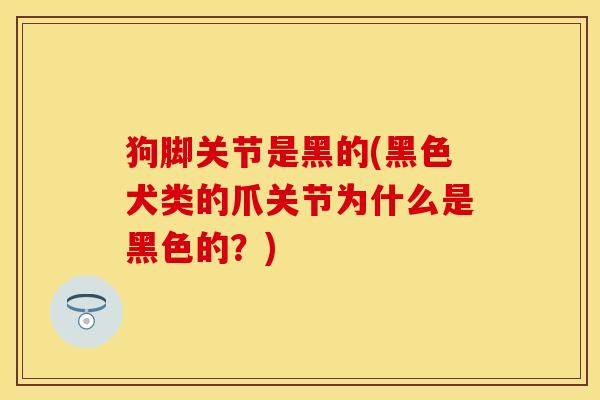 狗脚关节是黑的(黑色犬类的爪关节为什么是黑色的？)-第1张图片-关节保镖