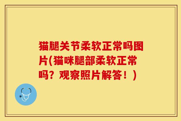 猫腿关节柔软正常吗图片(猫咪腿部柔软正常吗？观察照片解答！)-第1张图片-关节保镖