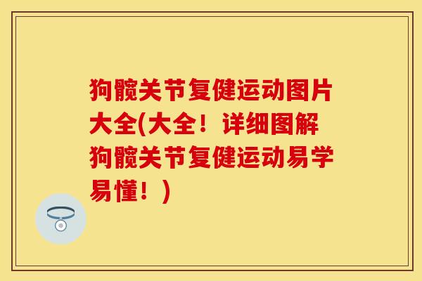 狗髋关节复健运动图片大全(大全！详细图解狗髋关节复健运动易学易懂！)-第1张图片-关节保镖