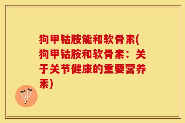 狗甲钴胺能和软骨素(狗甲钴胺和软骨素：关于关节健康的重要营养素)-第1张图片-关节保镖