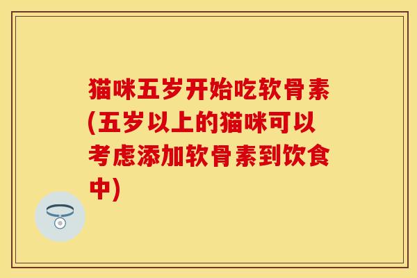 猫咪五岁开始吃软骨素(五岁以上的猫咪可以考虑添加软骨素到饮食中)-第1张图片-关节保镖