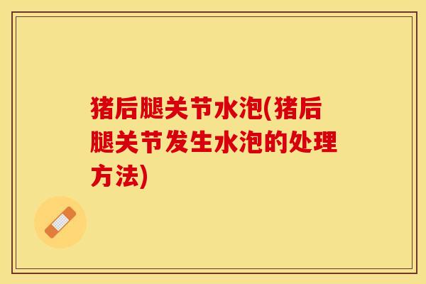 猪后腿关节水泡(猪后腿关节发生水泡的处理方法)-第1张图片-关节保镖