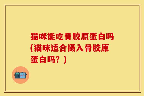 猫咪能吃骨胶原蛋白吗(猫咪适合摄入骨胶原蛋白吗？)-第1张图片-关节保镖