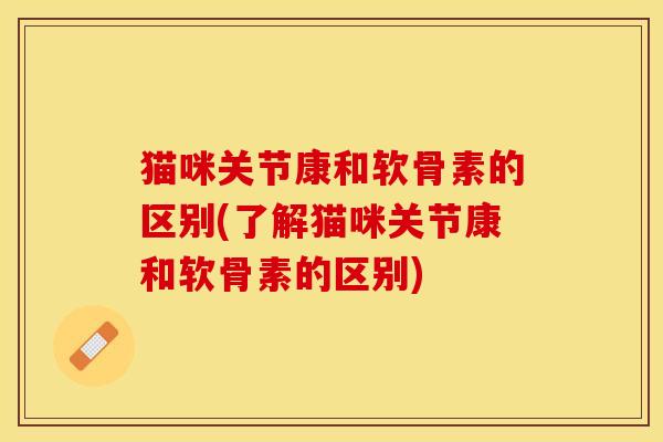 猫咪关节康和软骨素的区别(了解猫咪关节康和软骨素的区别)-第1张图片-关节保镖