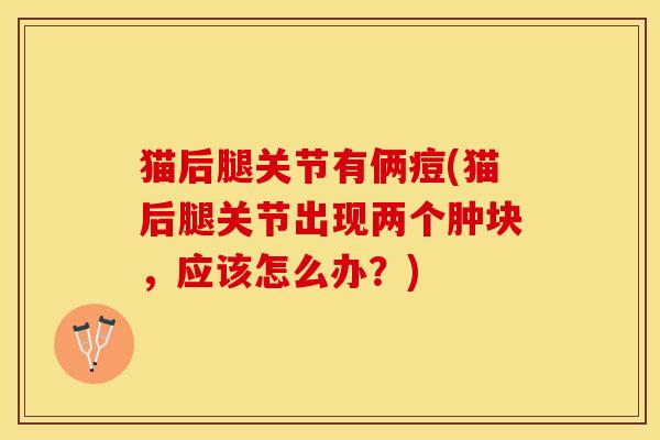 猫后腿关节有俩痘(猫后腿关节出现两个肿块，应该怎么办？)-第1张图片-关节保镖