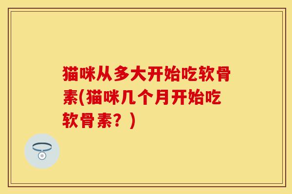 猫咪从多大开始吃软骨素(猫咪几个月开始吃软骨素？)-第1张图片-关节保镖