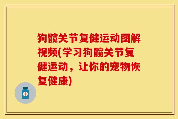 狗髋关节复健运动图解视频(学习狗髋关节复健运动，让你的宠物恢复健康)-第1张图片-关节保镖