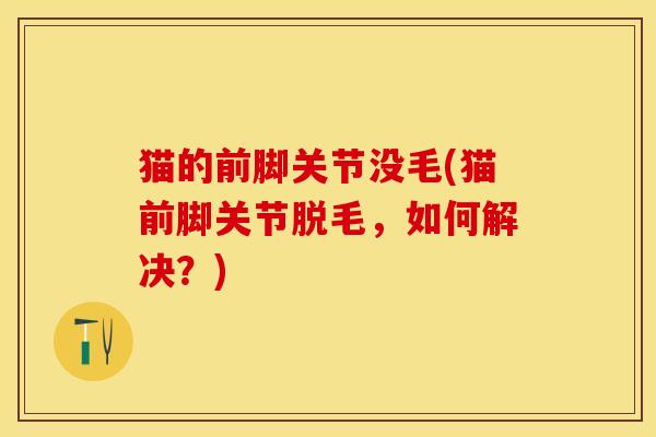 猫的前脚关节没毛(猫前脚关节脱毛，如何解决？)-第1张图片-关节保镖
