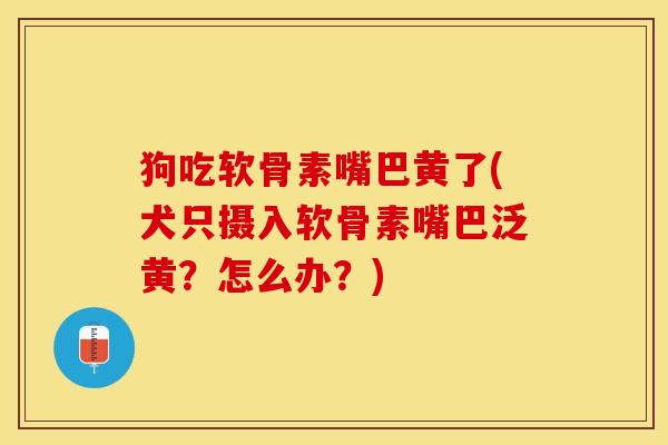 狗吃软骨素嘴巴黄了(犬只摄入软骨素嘴巴泛黄？怎么办？)-第1张图片-关节保镖