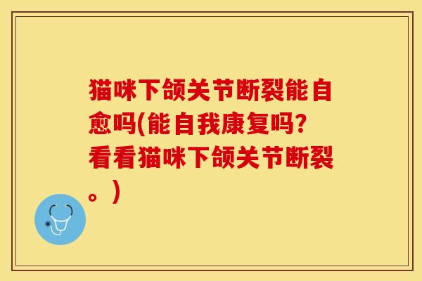 猫咪下颌关节断裂能自愈吗(能自我康复吗？看看猫咪下颌关节断裂。)-第1张图片-关节保镖