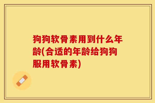狗狗软骨素用到什么年龄(合适的年龄给狗狗服用软骨素)-第1张图片-关节保镖