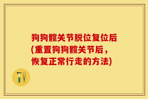 狗狗髋关节脱位复位后(重置狗狗髋关节后，恢复正常行走的方法)-第1张图片-关节保镖