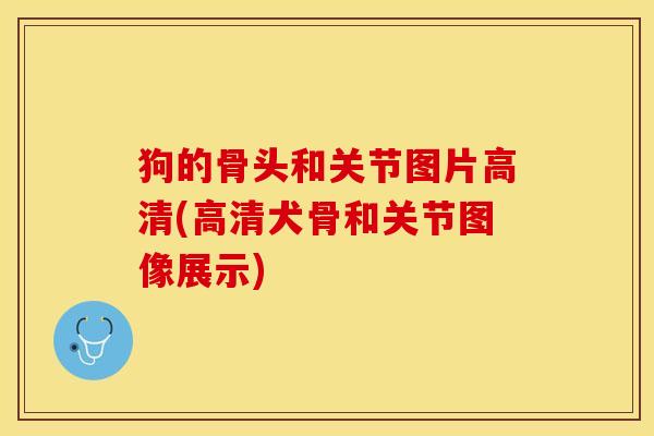 狗的骨头和关节图片高清(高清犬骨和关节图像展示)-第1张图片-关节保镖