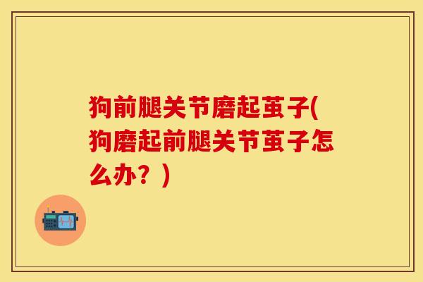 狗前腿关节磨起茧子(狗磨起前腿关节茧子怎么办？)-第1张图片-关节保镖