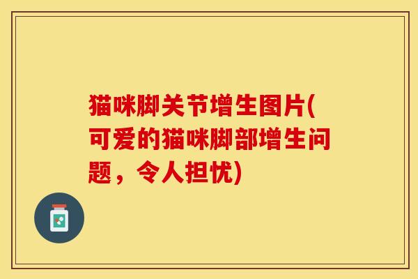 猫咪脚关节增生图片(可爱的猫咪脚部增生问题，令人担忧)-第1张图片-关节保镖