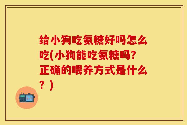 给小狗吃氨糖好吗怎么吃(小狗能吃氨糖吗？正确的喂养方式是什么？)-第1张图片-关节保镖