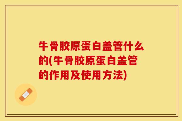 牛骨胶原蛋白盖管什么的(牛骨胶原蛋白盖管的作用及使用方法)-第1张图片-关节保镖