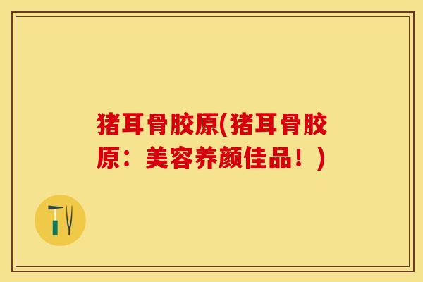 猪耳骨胶原(猪耳骨胶原：美容养颜佳品！)-第1张图片-关节保镖