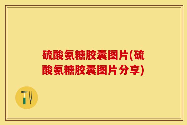 硫酸氨糖胶囊图片(硫酸氨糖胶囊图片分享)-第1张图片-关节保镖