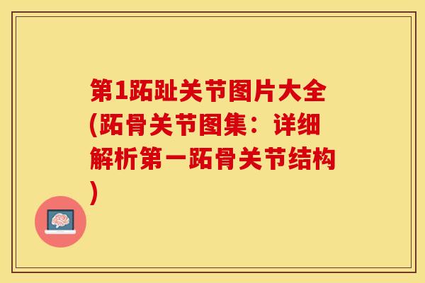 第1跖趾关节图片大全(跖骨关节图集：详细解析第一跖骨关节结构)-第1张图片-关节保镖