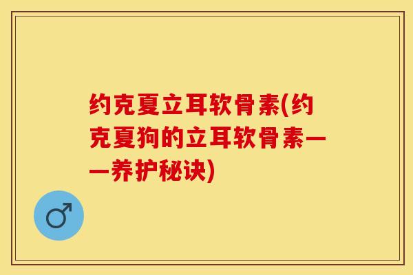 约克夏立耳软骨素(约克夏狗的立耳软骨素——养护秘诀)