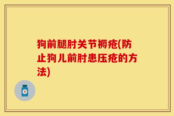 狗前腿肘关节褥疮(防止狗儿前肘患压疮的方法)-第1张图片-关节保镖