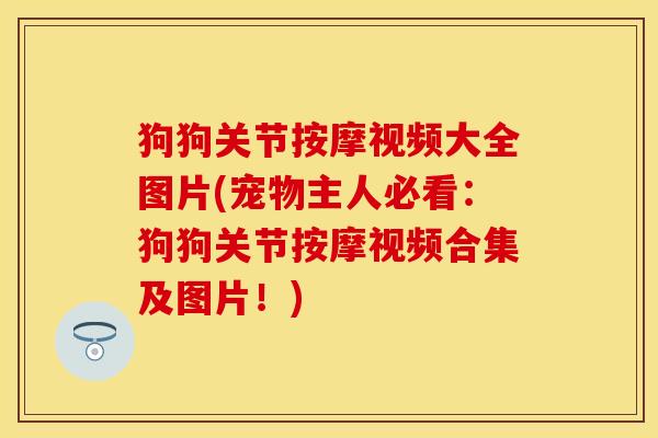 狗狗关节按摩视频大全图片(宠物主人必看：狗狗关节按摩视频合集及图片！)-第1张图片-关节保镖