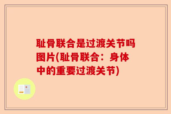 耻骨联合是过渡关节吗图片(耻骨联合：身体中的重要过渡关节)-第1张图片-关节保镖