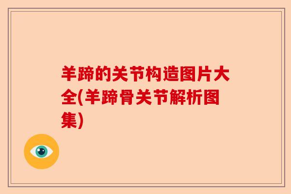 羊蹄的关节构造图片大全(羊蹄骨关节解析图集)-第1张图片-关节保镖