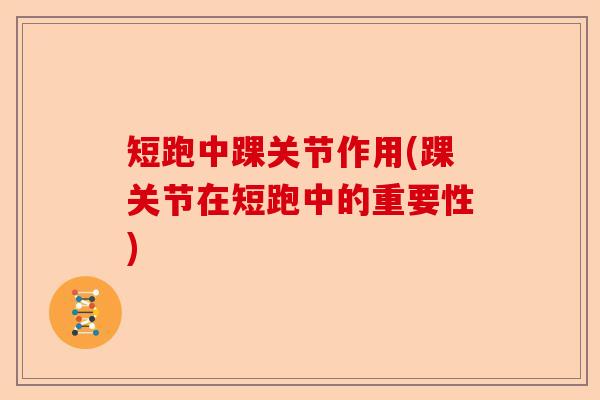 短跑中踝关节作用(踝关节在短跑中的重要性)-第1张图片-关节保镖