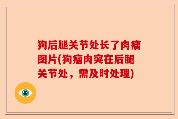 狗后腿关节处长了肉瘤图片(狗瘤肉突在后腿关节处，需及时处理)-第1张图片-关节保镖