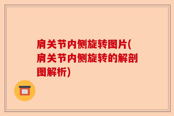 肩关节内侧旋转图片(肩关节内侧旋转的解剖图解析)-第1张图片-关节保镖