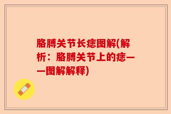 胳膊关节长痣图解(解析：胳膊关节上的痣——图解解释)-第1张图片-关节保镖