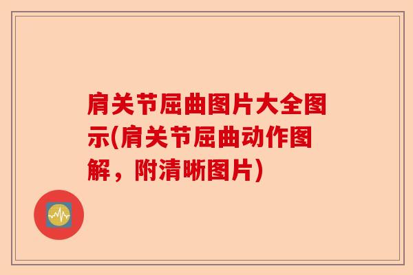 肩关节屈曲图片大全图示(肩关节屈曲动作图解，附清晰图片)-第1张图片-关节保镖