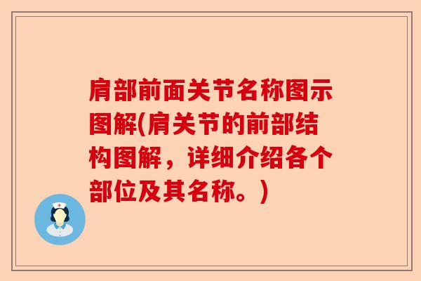 肩部前面关节名称图示图解(肩关节的前部结构图解，详细介绍各个部位及其名称。)-第1张图片-关节保镖
