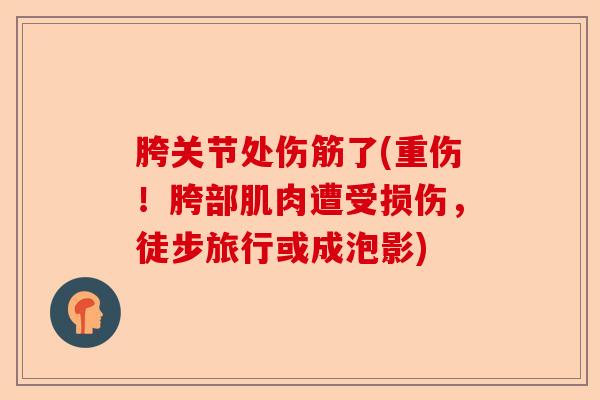 胯关节处伤筋了(重伤！胯部肌肉遭受损伤，徒步旅行或成泡影)-第1张图片-关节保镖